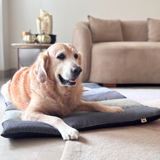 Dog Mats | pet Mats | Mats for sleeping dogs