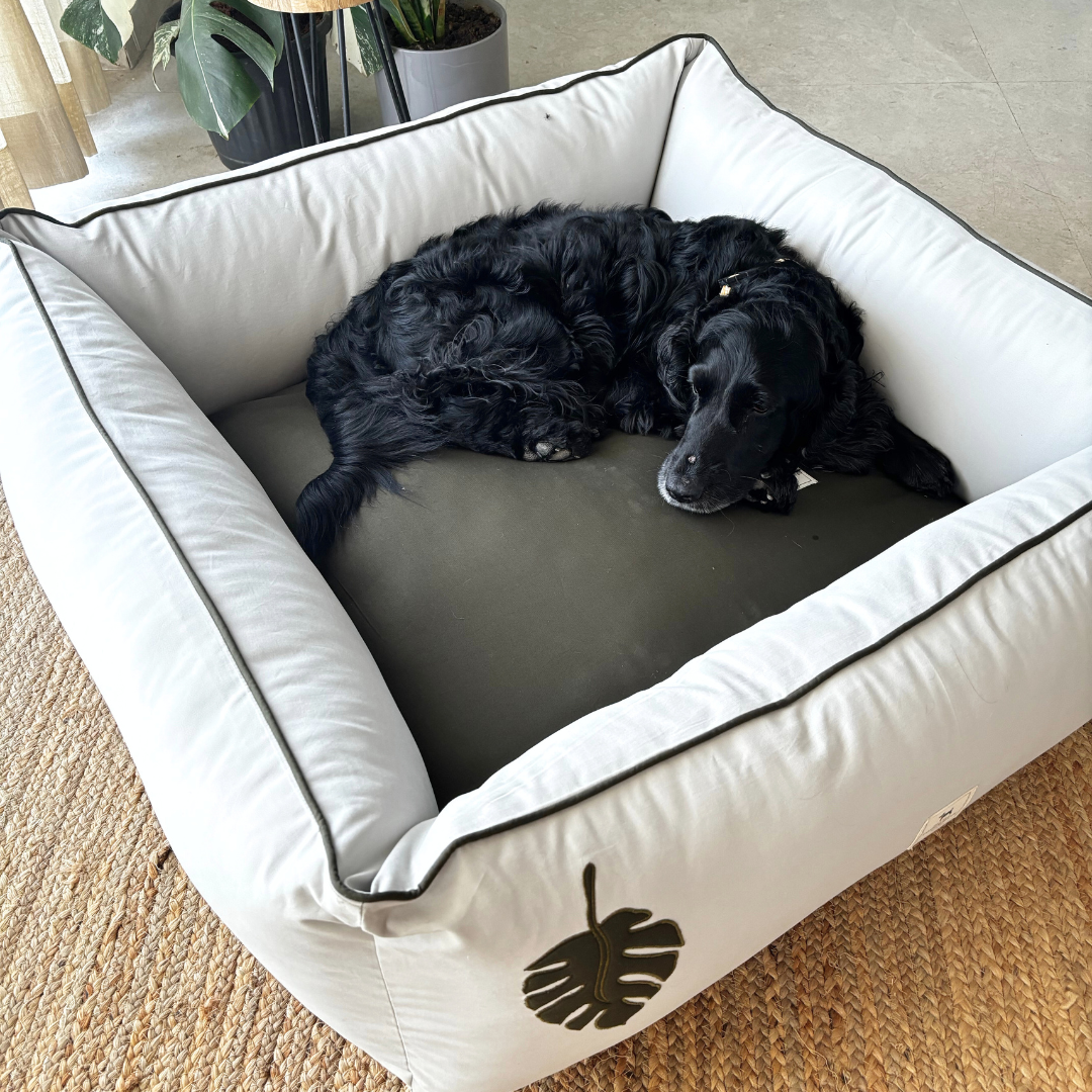 Luxury dog Beds online India | Personalized Dog Beds