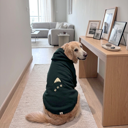 Winter hoodies for dogs | Winter dog clothes | Dog hoodies for large dogs