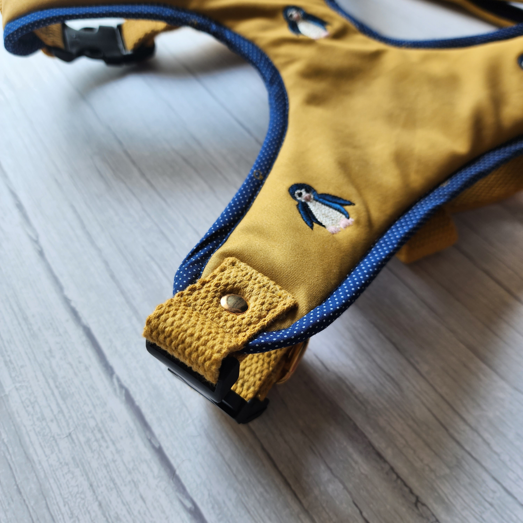 Dog Body belt online India | Harness for small dogs