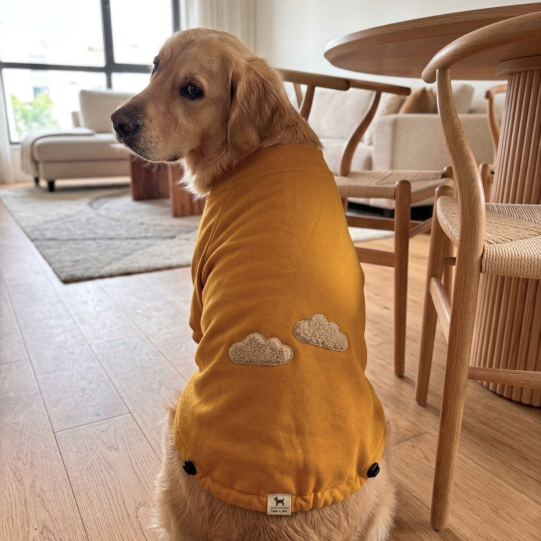 Dog clothes online India| Dog winter clothes India| Dog Sweatshirts for large dogs India| PoochMate India