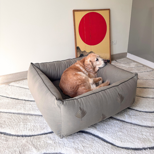 dog bed online New Arrivals Buy Dog Gone Smart Lounger Dog Bed Online at Low Price in India Puprise