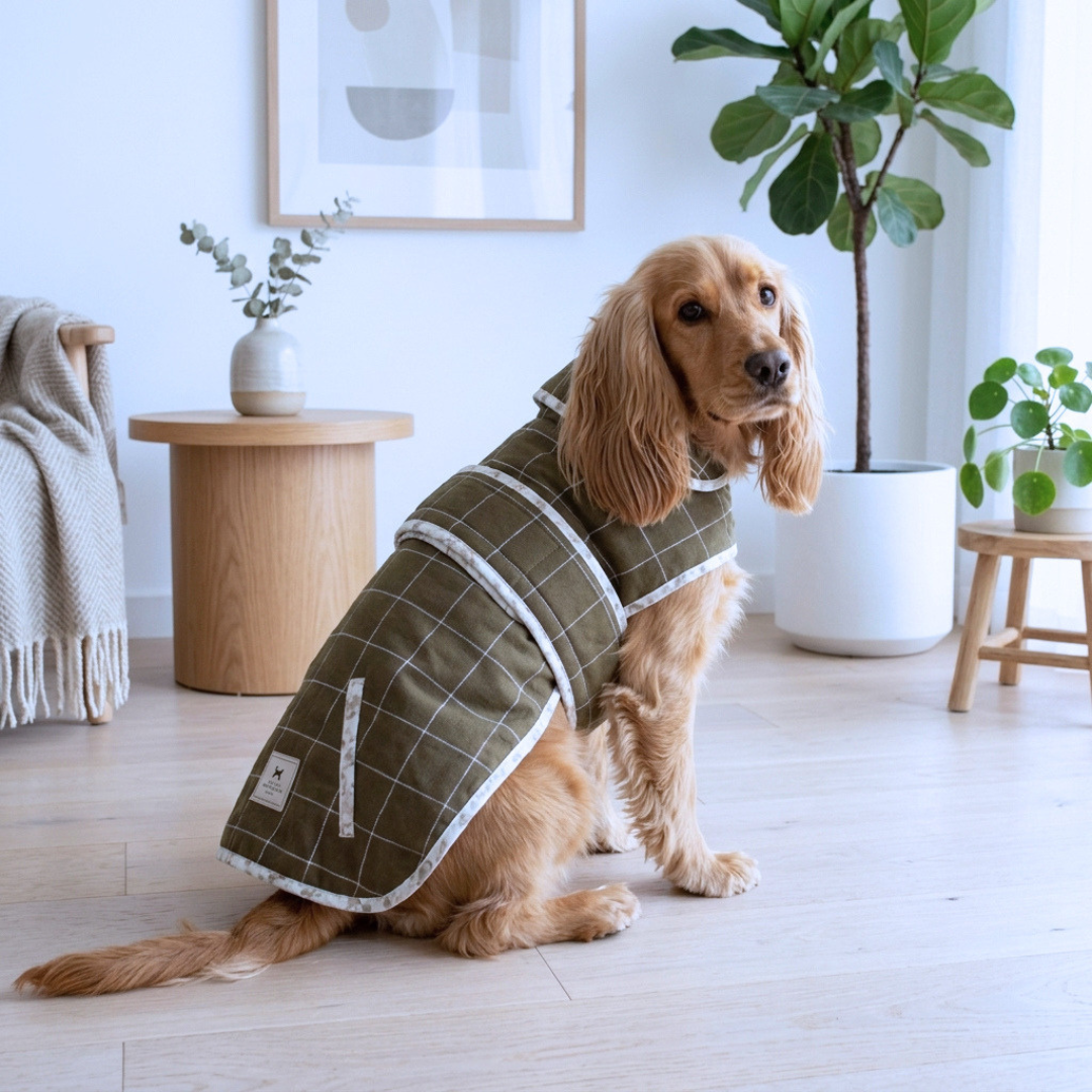 Winter Dog clothes online India | Dog Jackets India| Best winter coats for dog online India | Dog winter coat | Quilted dog jacket | PoochMate