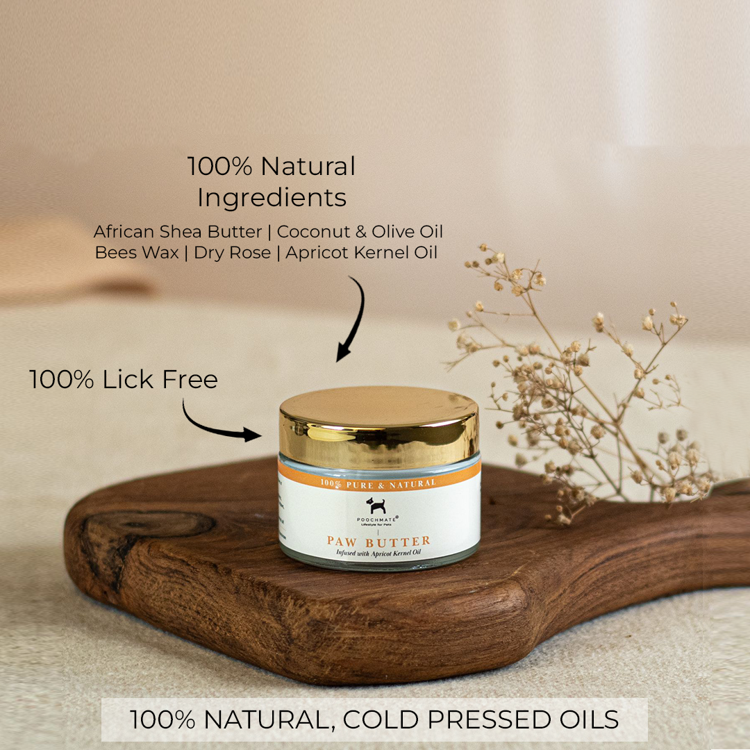 Dog paw balm | Paw butter for dogs | Dog paw care | Best paw butter for dog online India