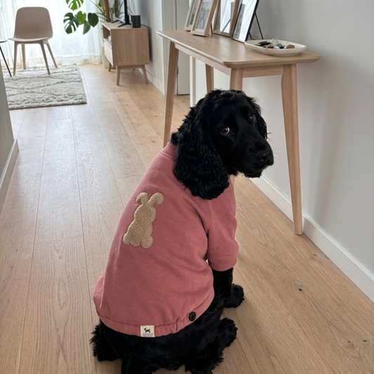 Hoodies for large dogs | Winter wear for pets India