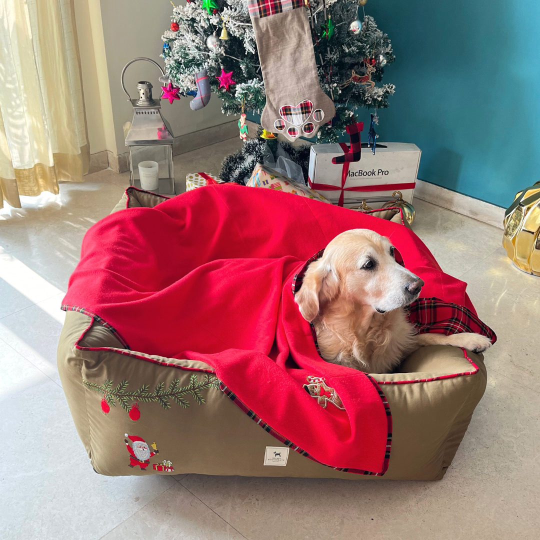 Best christmas gifts online India | Large dog washable beds