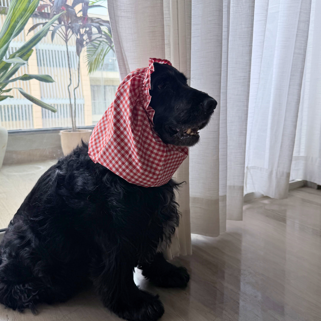 Dog Snood online India| Dog Snood for Cocker spaniel | Dog Snood for eating | ear cover for dogs with long ears | PoochMate Dog Snood | Dog Snood for ears