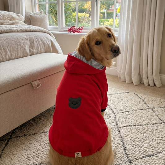 Dog winter clothes| Dog Sweatshirt online India | Dog hoodies online India | Winter clothes for large dogs | PoochMate India
