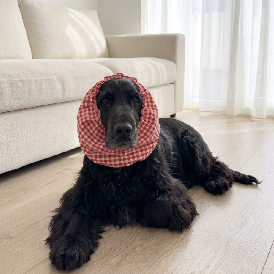 Dog Snood online India| Dog Snood for Cocker spaniel | Dog Snood for eating | Ear cover for dogs with long ears | PoochMate Dog Snood | Dog Snood for ears