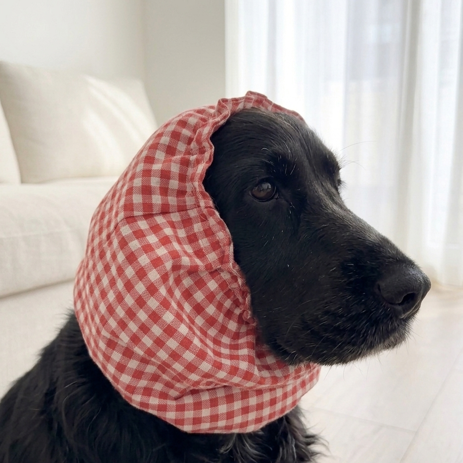 Dog Snood online India| Dog Snood for Cocker spaniel | Dog Snood for eating | Ear cover for dogs with long ears | PoochMate Dog Snood | Dog Snood for ears