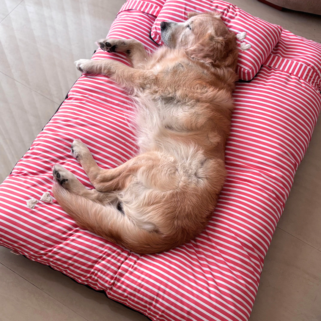 PoochMate Beds | Dog bed with removable covers