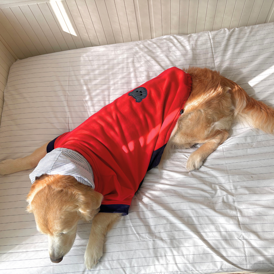 Dog Sweatshirts | Dog Hoodie India