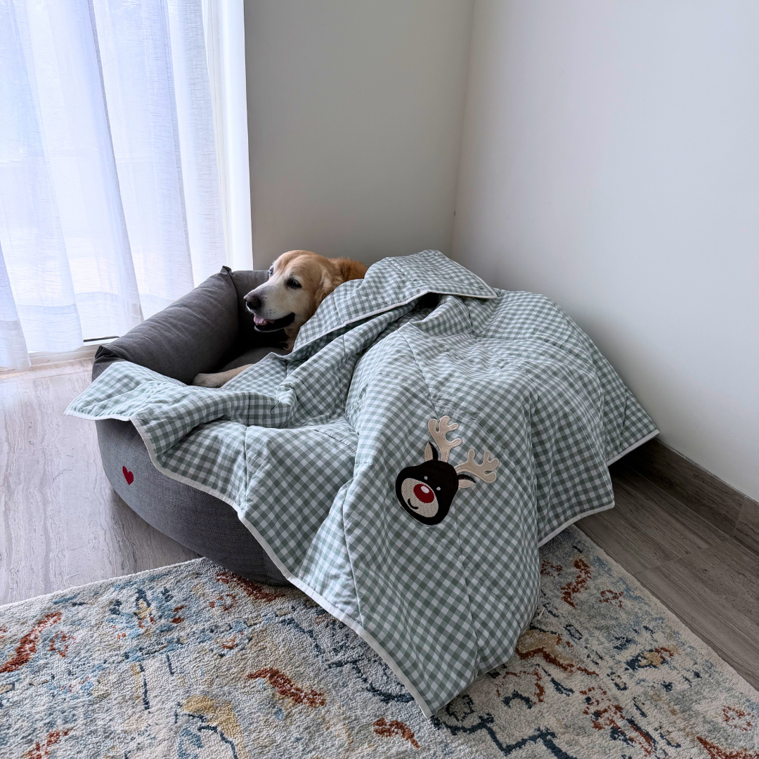 Dog Blanket for Bed | Pet Blankets online India | Best cotton dog blankets| Pet Blankets India| Best Dog Blanket