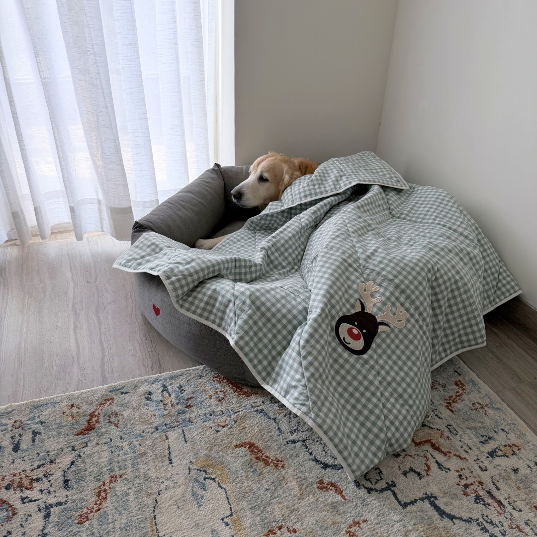 Cotton Dog Blanket | Pet Blankets online India | Best cotton dog blankets| Pet Blankets India