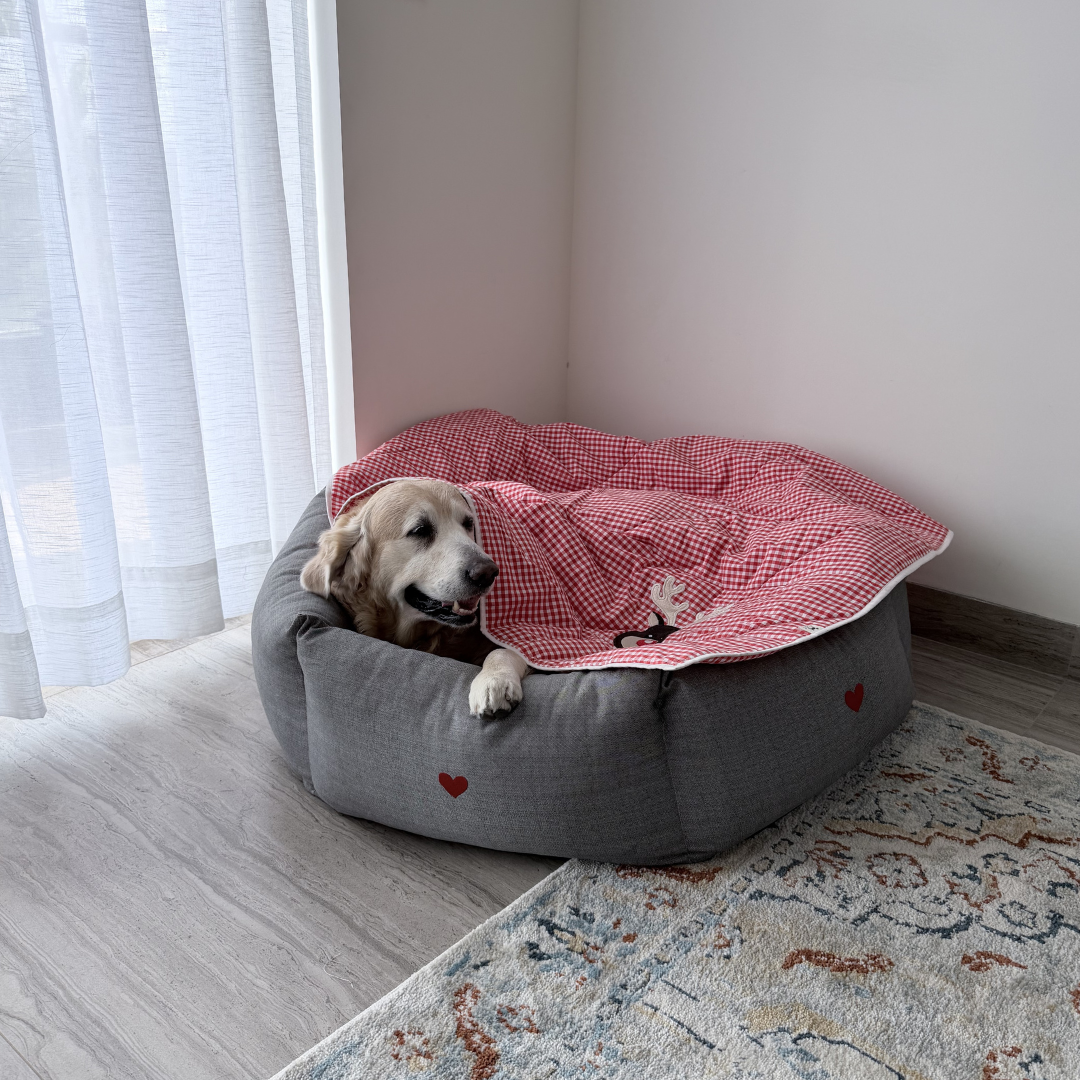Dog Blanket for Bed | Pet Blankets online India | Best cotton dog blankets| Pet Blankets India| PoochMate Dog Blanket