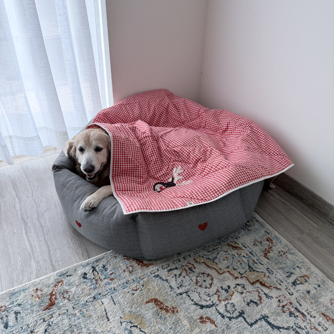 Dog Blanket for Bed | Large dog Blankets online India | Best cotton dog blankets| Pet Blankets India| PoochMate Dog Blanket