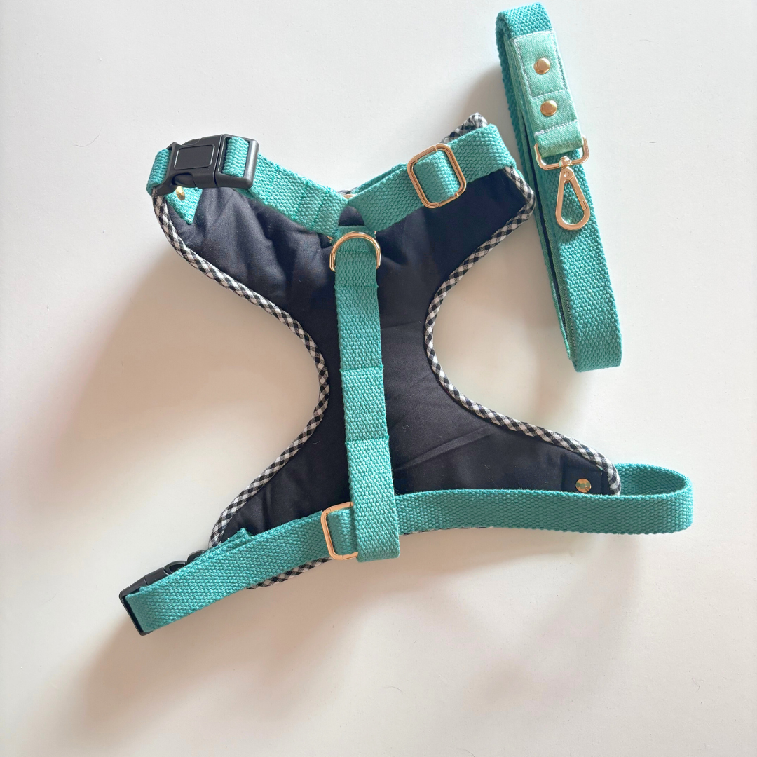 PoochMate Sage Green Cloud Dog Harness & Lead Set