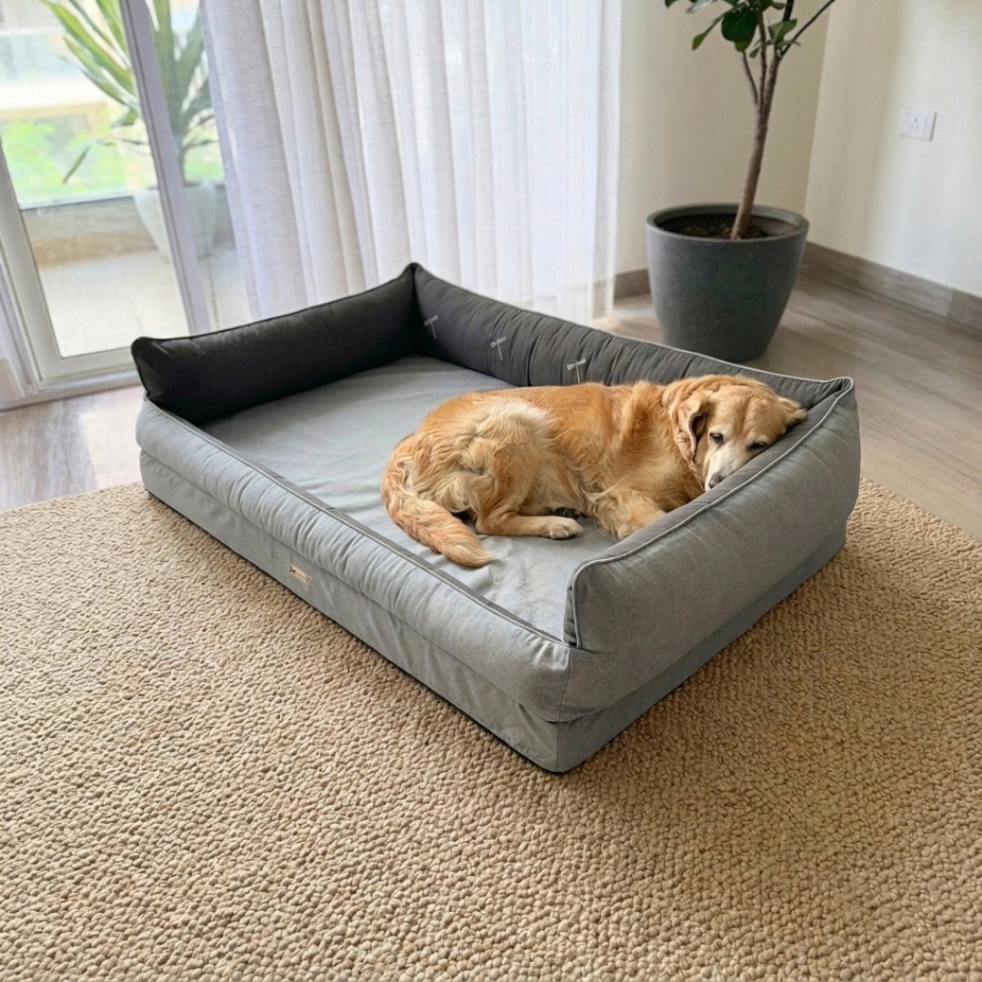 Orthopaedic dog beds| Memory foam dog beds| Memory foam dog sofa bed | Memory foam dog bed with raised sides | PoochMate memory Foam Dog bed| best memory foam dog beds India