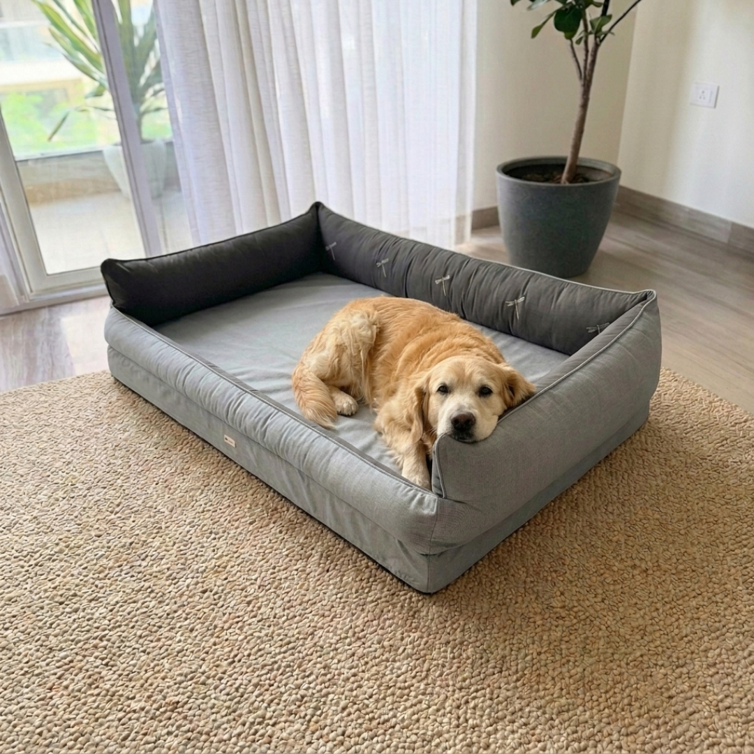Orthopaedic dog beds| Memory foam dog beds| Memory foam dog sofa bed | Memory foam dog bed with raised sides | PoochMate memory Foam Dog bed| best memory foam dog beds India