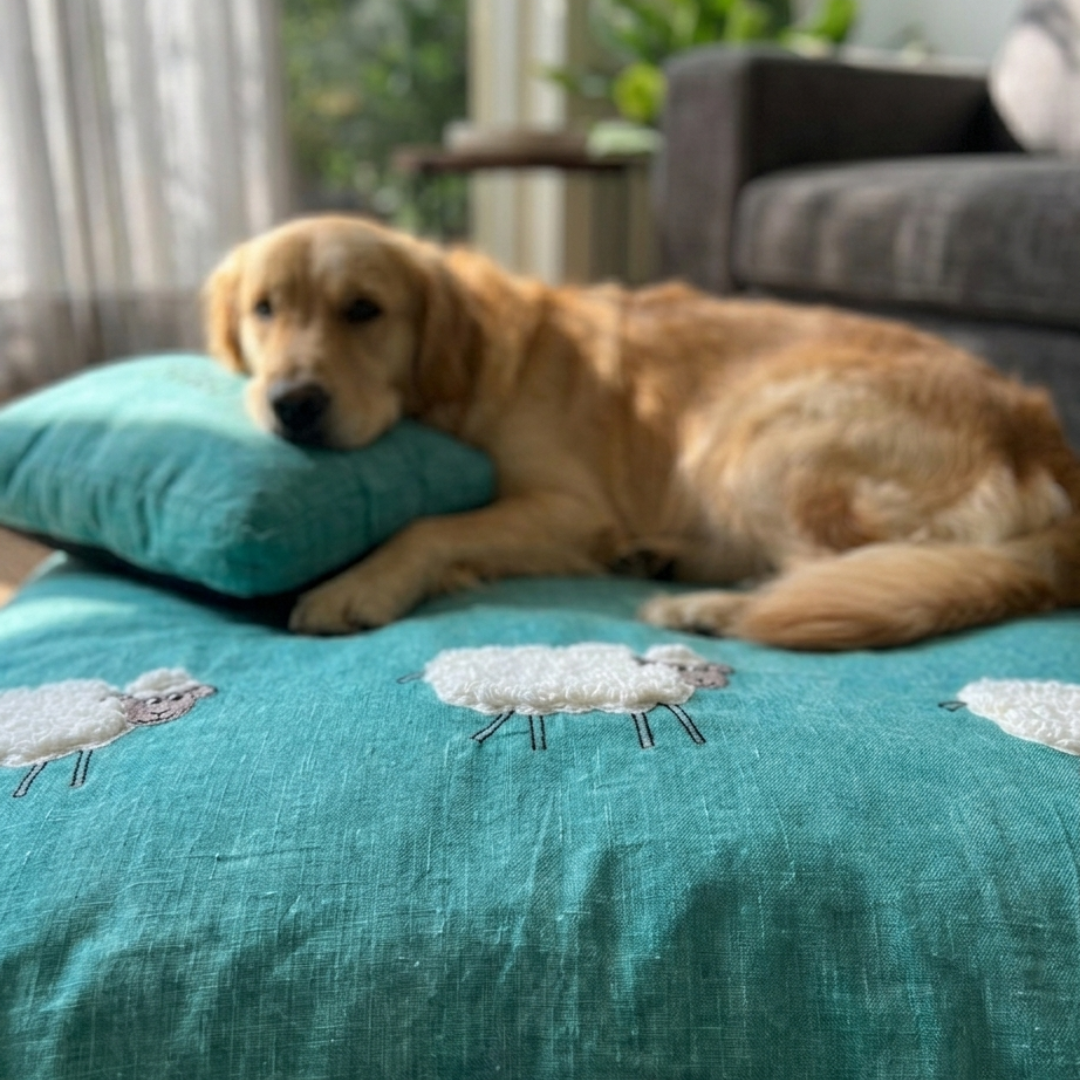 Cotton Dog Beds India | Washable beds for dogs| PoochMate Flat Beds | Crate beds for dogs