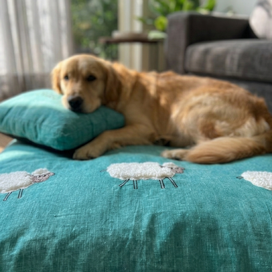 Cotton Dog Beds India | Washable beds for dogs| PoochMate Flat Beds | Crate beds for dogs