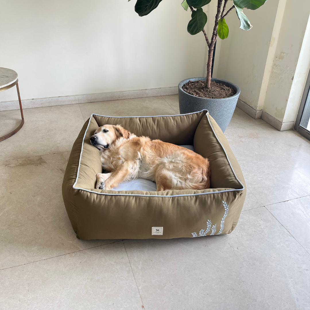 Best dog beds online India | PoochMate Beds