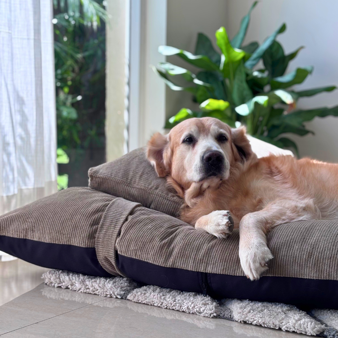 Beds for large dogs | Flat dog beds | PoochMate Dog Beds