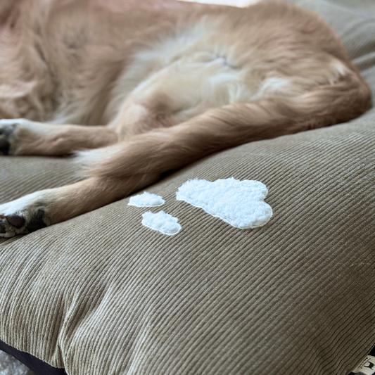 Large dog beds online India | Flat XL Dog Beds | PoochMate Beds