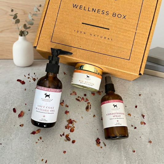 Soft coat wellness for dogs | Natural dog grooming supplies India | Dog massage Oil | Dog leave in Conditioner | Dog Paw Balm | PoochMate India