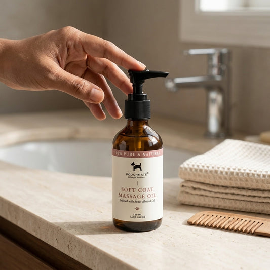 Massage oil for dogs | Natural dog rooming | Dog grooming products | Oil for soft coat in Dogs | PoochMate India