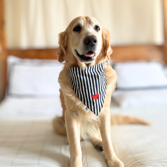 Dog Bandana with embroidery | Adjustable dog bandana