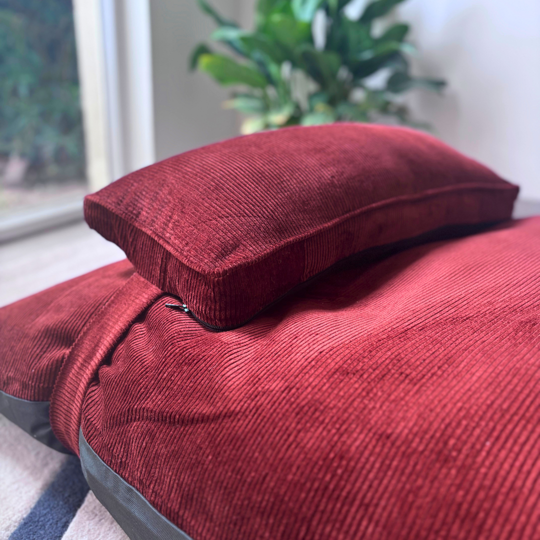 XL Dog beds | Dog beds with removable cover | Cotton washable dog beds India | PoochMate Beds