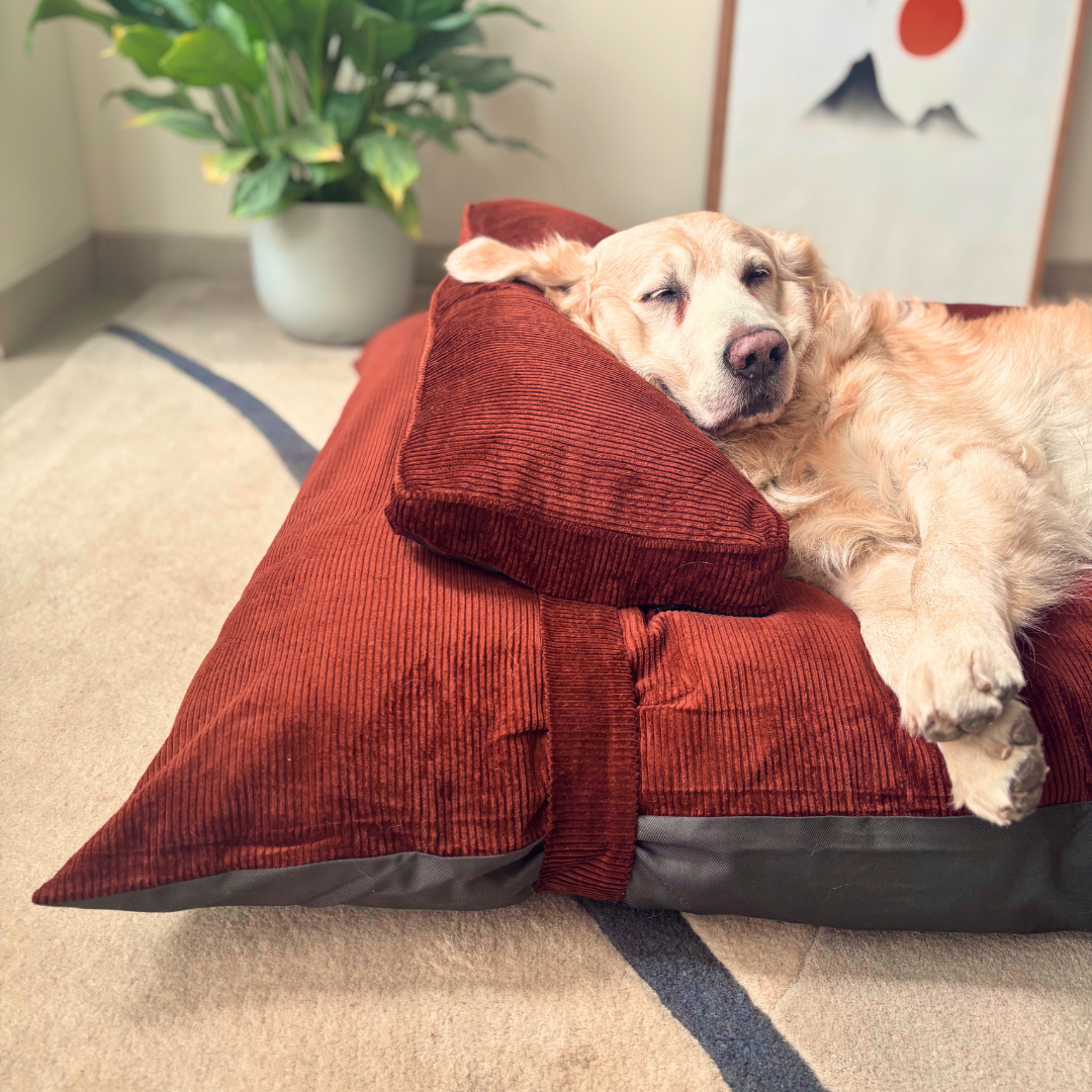 Flat Dog beds | Corduroy dog beds | Best dog beds online India | PoochMate Bed