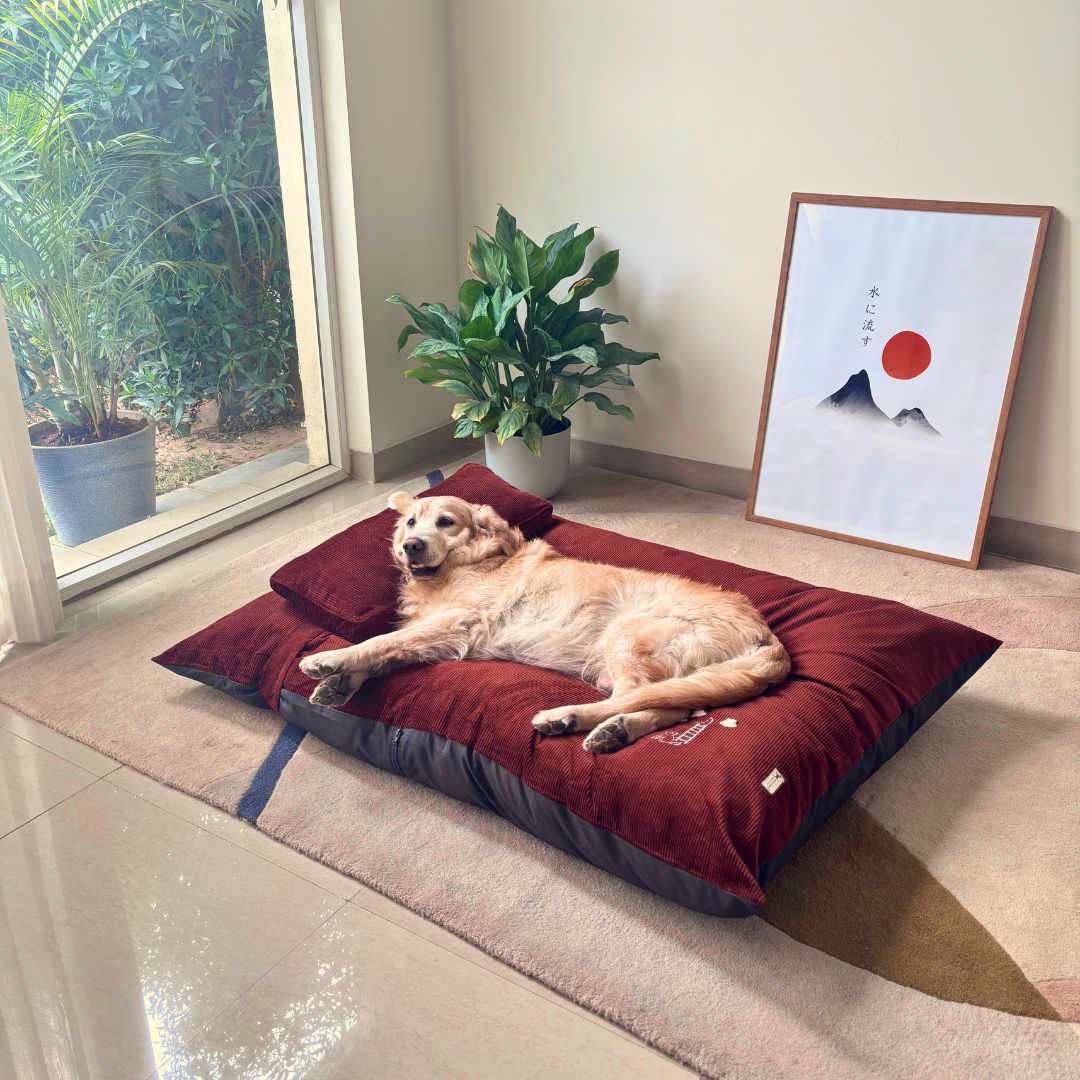 Winter Dog beds | Corduroy dog beds | Best dog beds online India | PoochMate Bed
