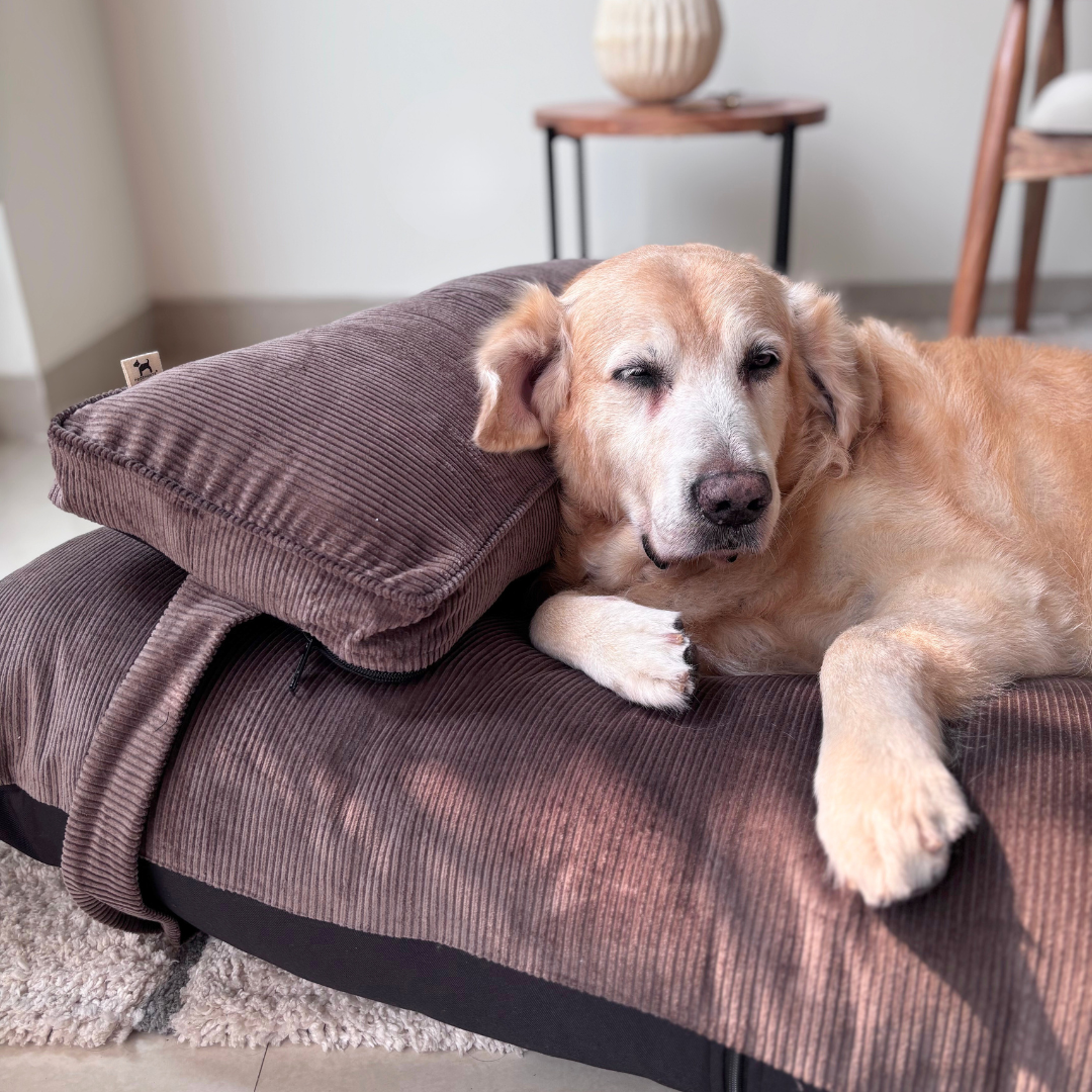 Large dog beds | Cotton dog beds | Washable Dog Beds India