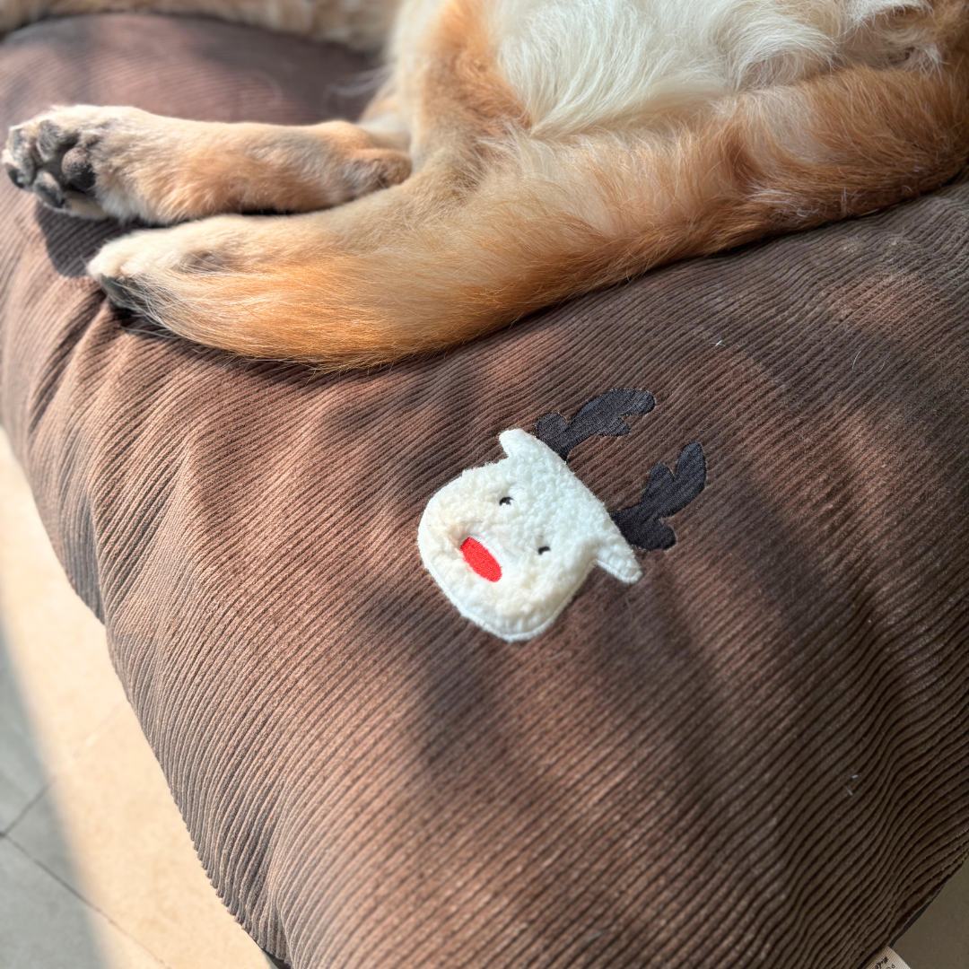 Large dog beds online India | Flat XL Dog Beds | PoochMate Beds