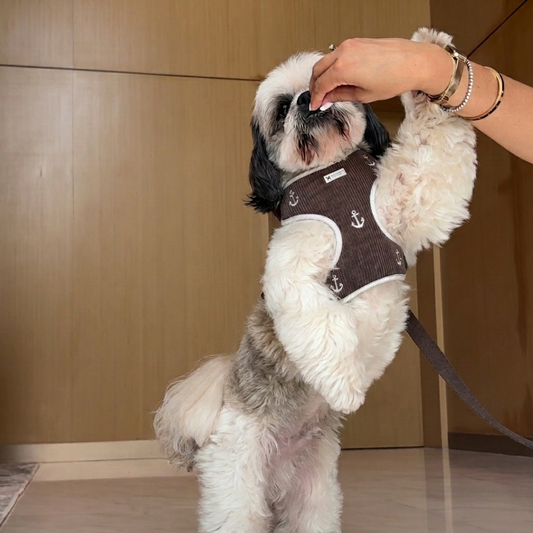 PoochMate Taupe Anchor Harness & Lead Set