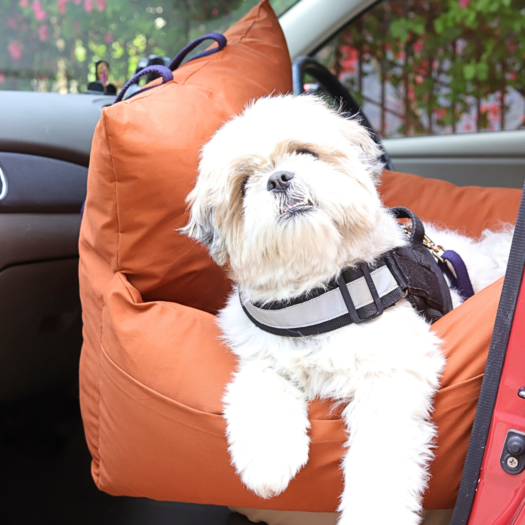 Car Seats for small dogs | Travel Dog Beds online India