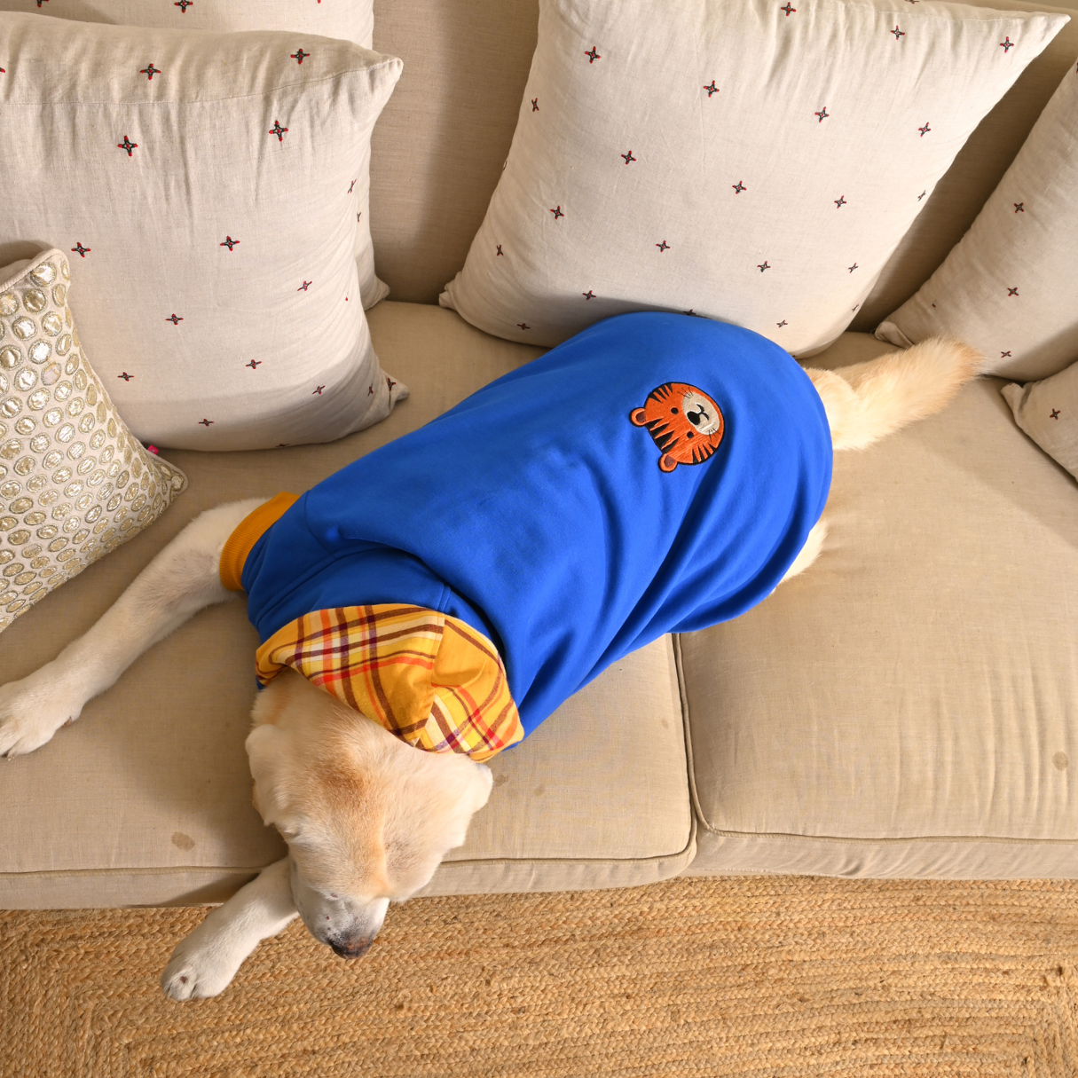 Winter dog clothes online India | Dog Sweatshirts online