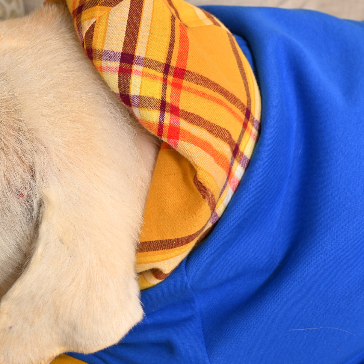 Organic Fleece Sweatshirts for dogs | Dog Fleece sweaters 