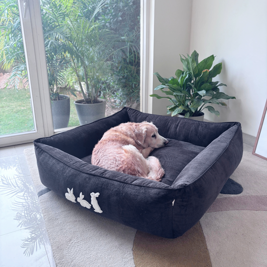 Washable Dog Bed | PoochMate Beds | Corduroy dog beds | Large dog beds online India
