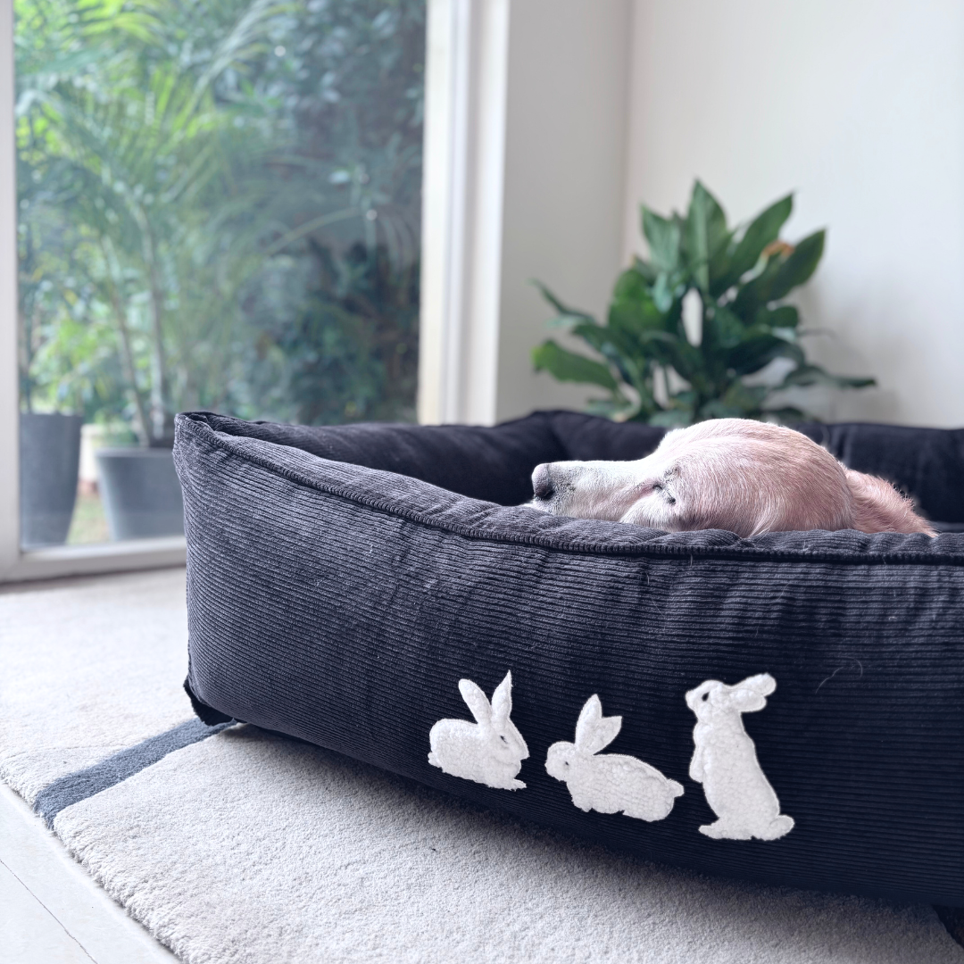 PoochMate Dog Bed | PoochMate Beds | Corduroy dog beds | Large dog beds online India