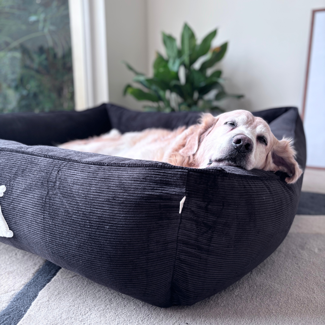Washable Dog Bed | PoochMate Beds | Corduroy dog beds | Large dog beds online India