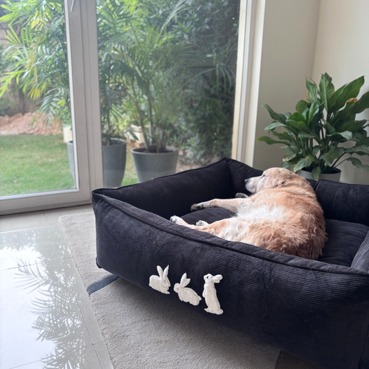 PoochMate Dog Bed | PoochMate Beds | Corduroy dog beds | Large dog beds online India