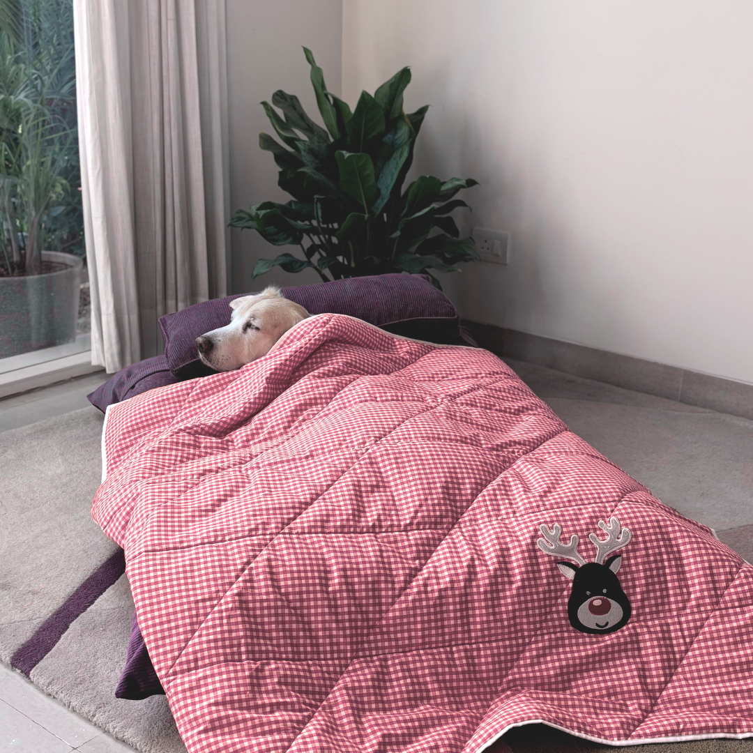 Christmas dog blanket | Christmas gifts for dogs | Dog xmas blanket | Cotton dog blankets India