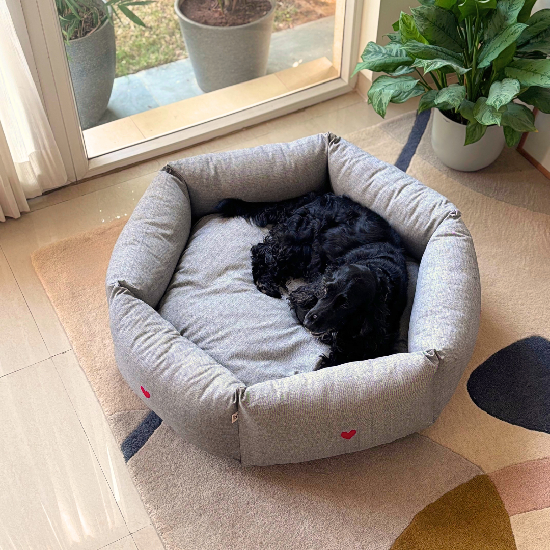 PoochMate Dog Beds | Best dog beds online India | Dog beds with removable covers | Washable dog beds online India