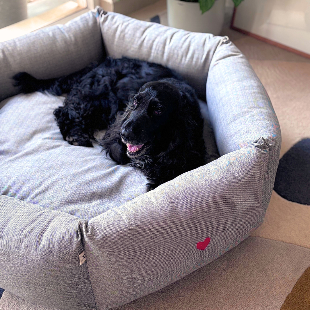 PoochMate Dog Beds | Round dog beds online India | Dog beds with removable covers | Washable dog beds online India