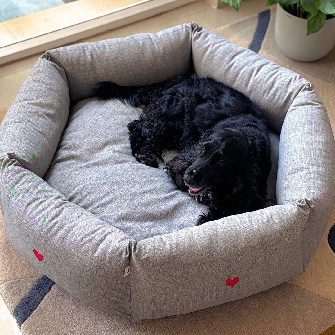 PoochMate Dog Bed | Best dog beds online India | Dog beds with removable covers | Washable round dog beds online India
