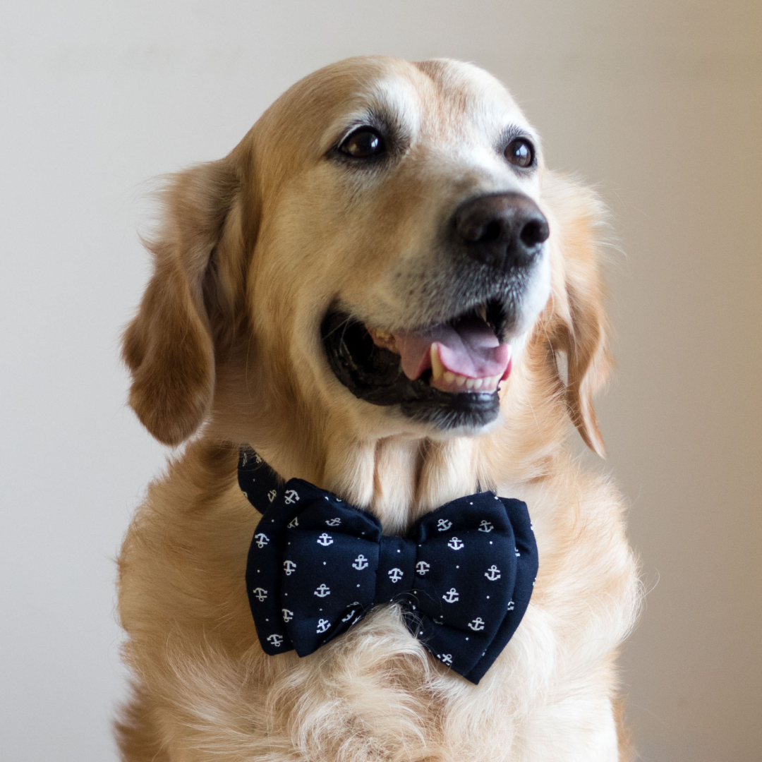 PoochMate Personalized Dog Face Pillow