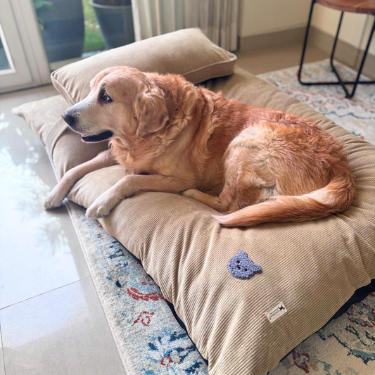 flat dog bed | Large dog beds online India | PoochMate Beds